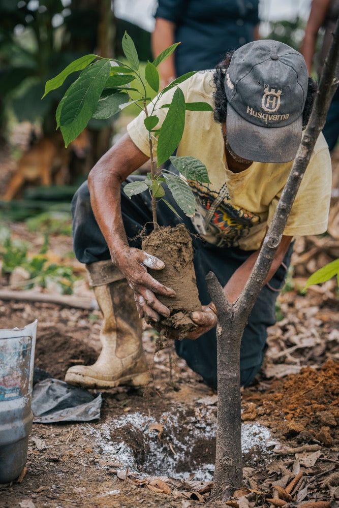 Environmental Conservation and Climate Change Adaptation